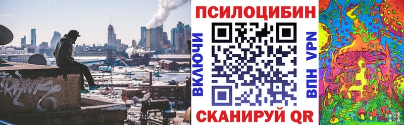 Псилоцибиновые грибы Magic Shrooms  купить закладку  Чишмы 